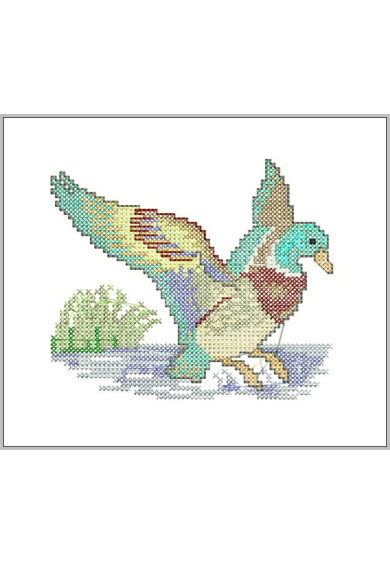 Cst020 - Flying Duck